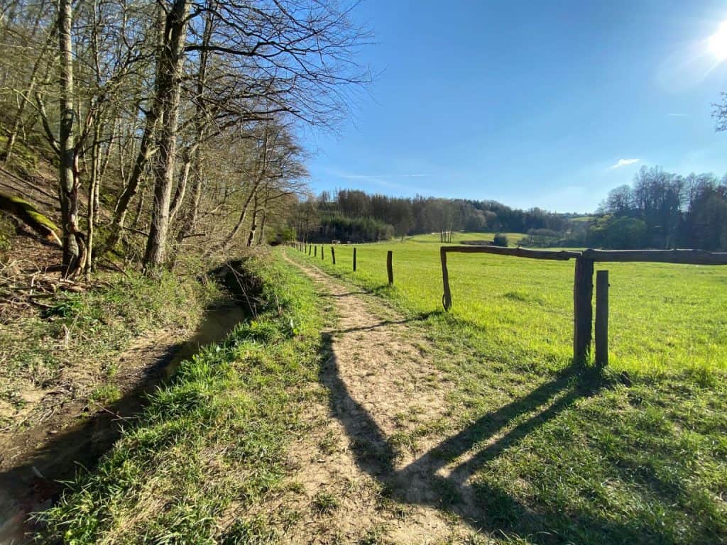 Naafbachtal Lohmar - Walk and Wonder