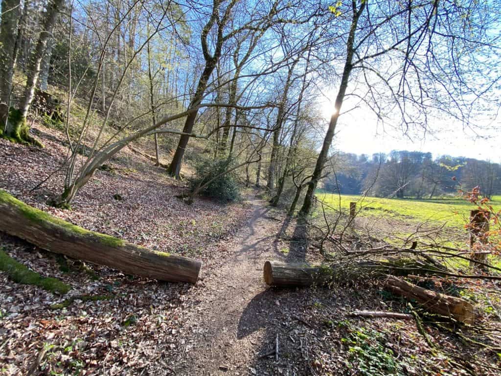 Naafbachtal Lohmar - Walk and Wonder