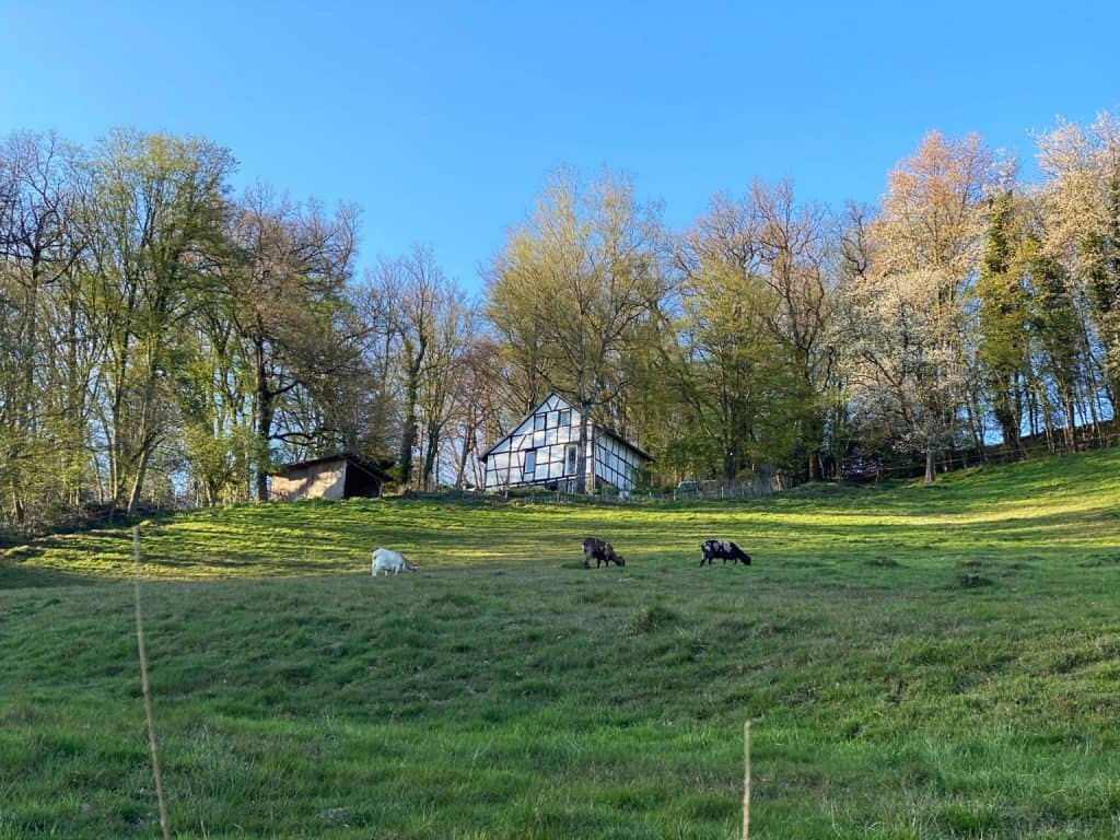 Naafbachtal Lohmar - Walk and Wonder