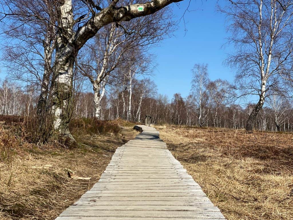 Naturschutzgebiet Struffelt Hohes Venn Eifel - Walk & Wonder