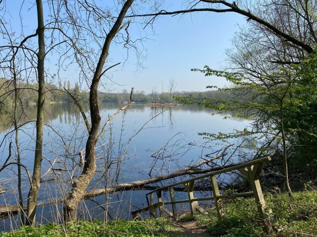 Sieglarer See Rundwanderung - Walk and Wonder