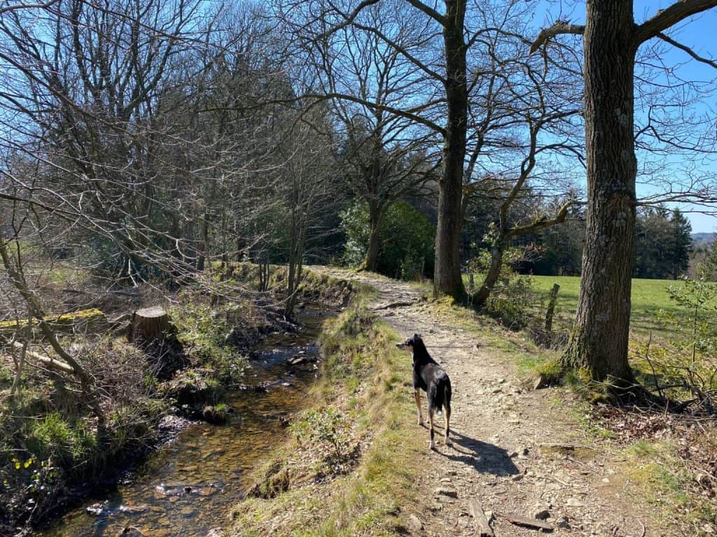 Wanderung durch das Hohe Venn Eifel - Walk & Wonder