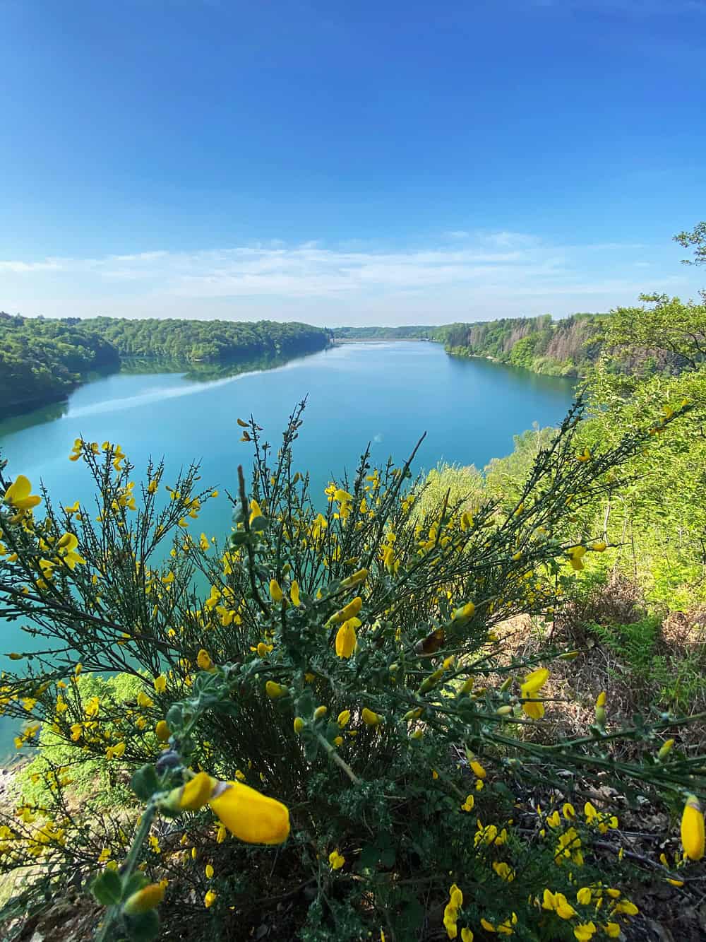 Blick auf die Wahnbachtalsperre