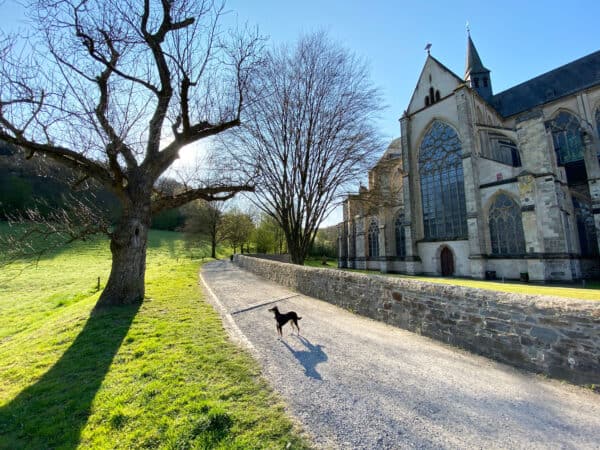 Altenberger Dom Odenthal - Wanderung - Walk & Wonder