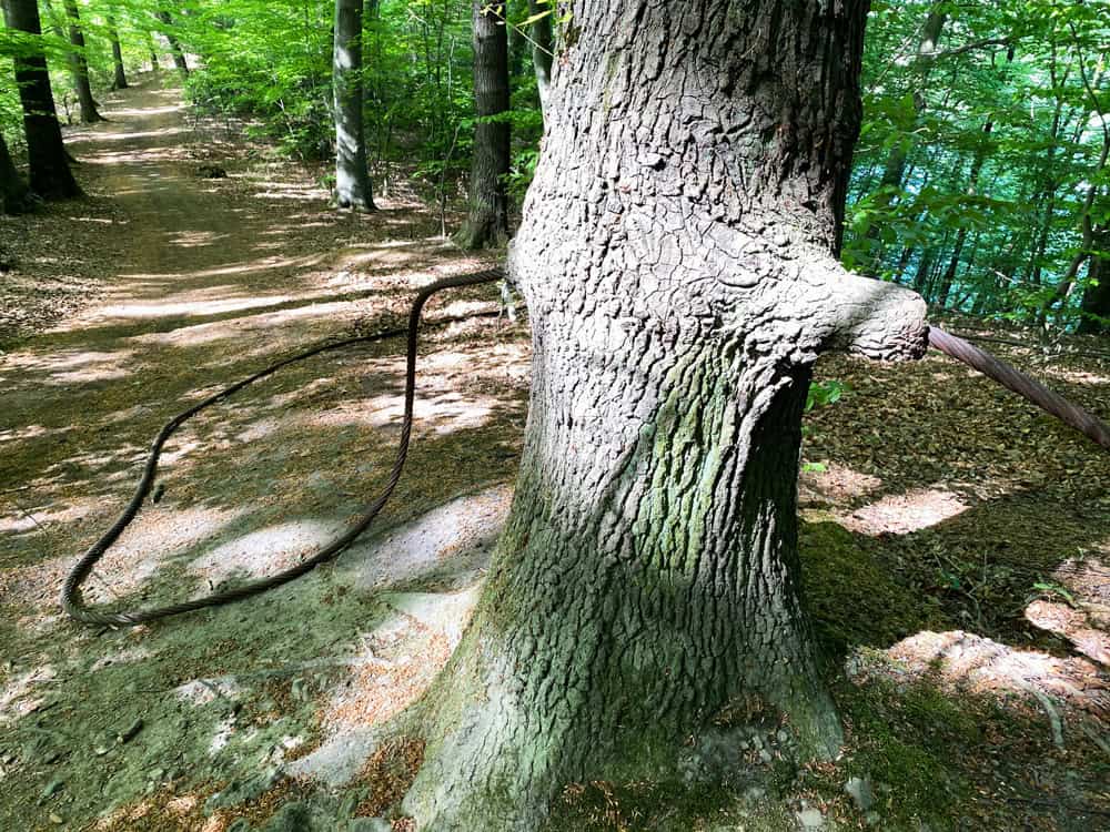 Wahnbachtalsperre Wanderung Tipps