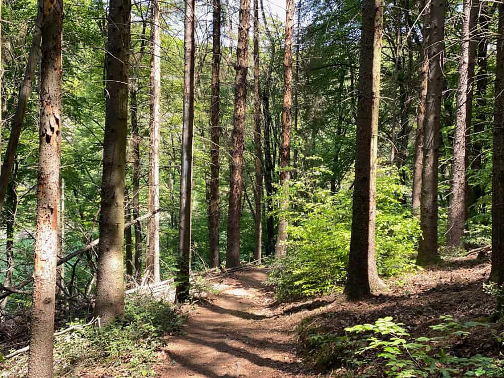 Wahnbachtalsperre Wanderung Tipps