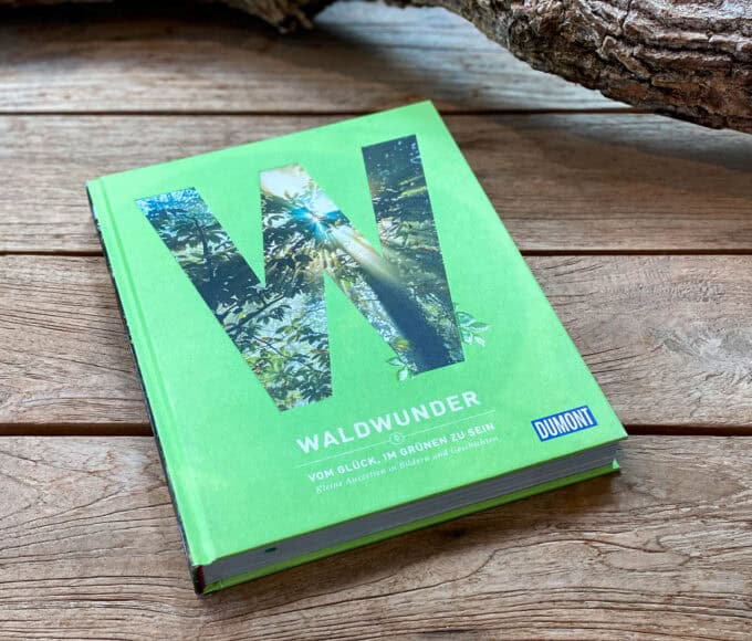 Waldwunder Buchtipp - Walk and Wonder