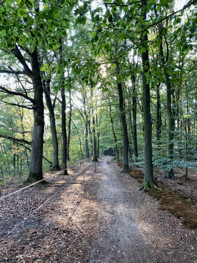 Naturschutzgebiet Am Hornpottweg Leverkusen - Walk and Wonder