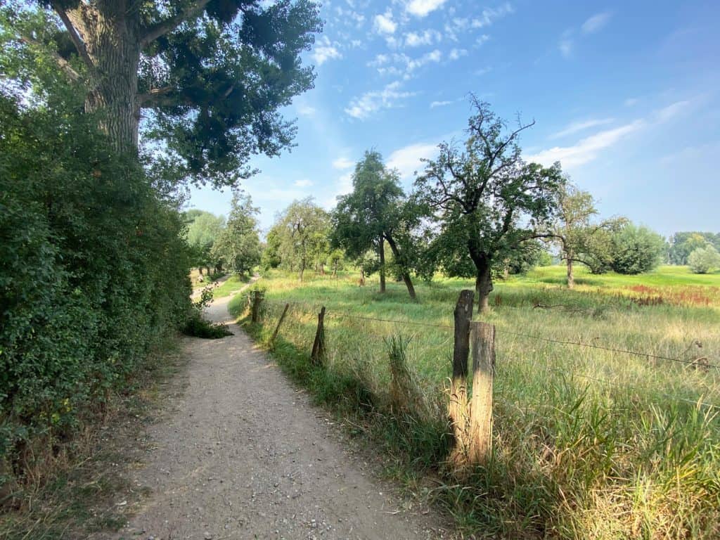 Urdenbacher Kämpe - Wanderung zum Rhein - Walk & Wonder