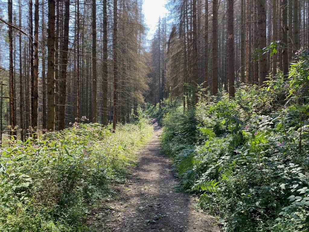 Wanderung in Odenthal - Altenberg - Walk and Wonder
