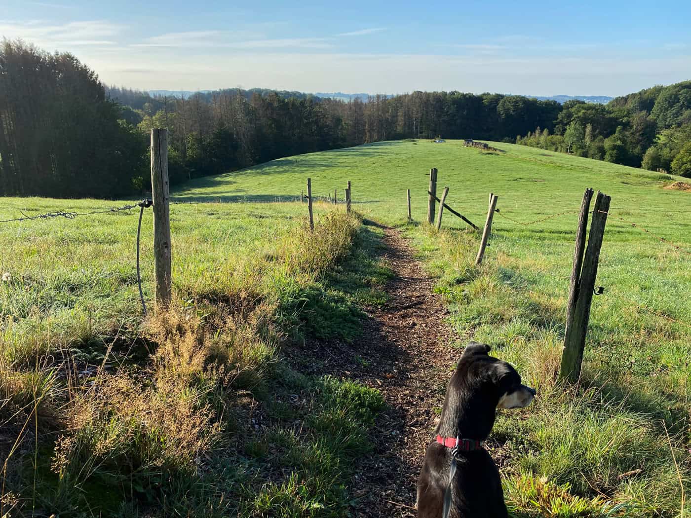 Wanderung Hohkeppel - Walk and Wonder