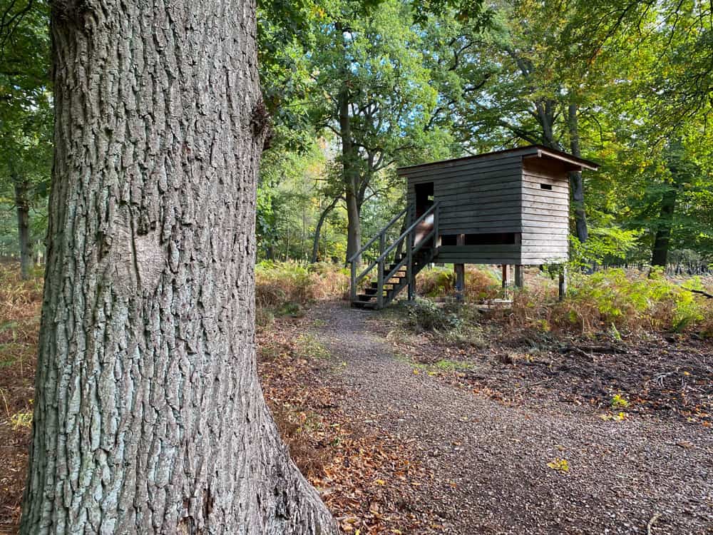 Hirschkäferroute Diersfordter Wald Wesel - Walk and Wonder