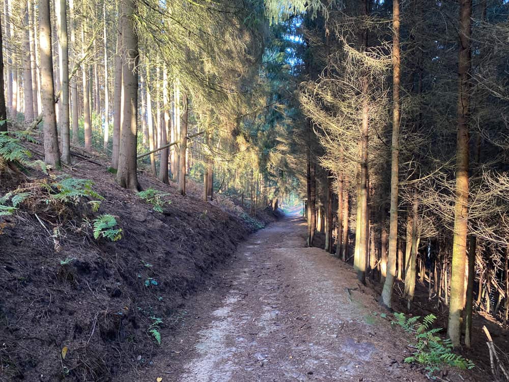 Bergischer Weg Muchensiefen - Walk and Wonder