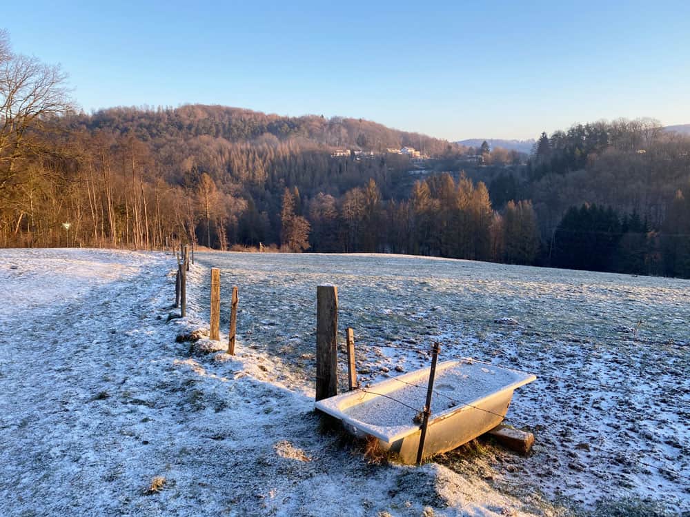 Wanderung durch das Freudenthal - Walk and Wonder
