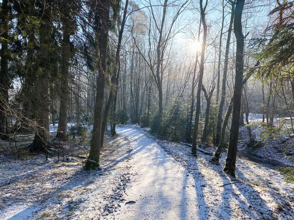 Freudenthal Volbachtal in Immekeppel - Walk and Wonder