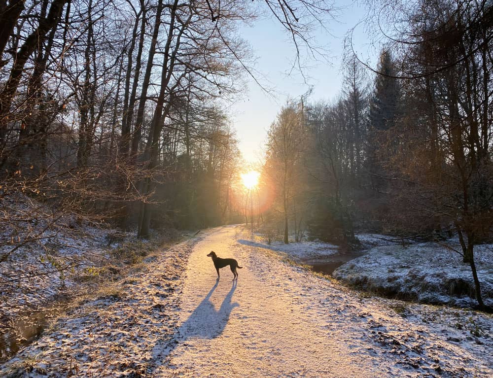 Wanderung durch das Freudenthal - Walk and Wonder