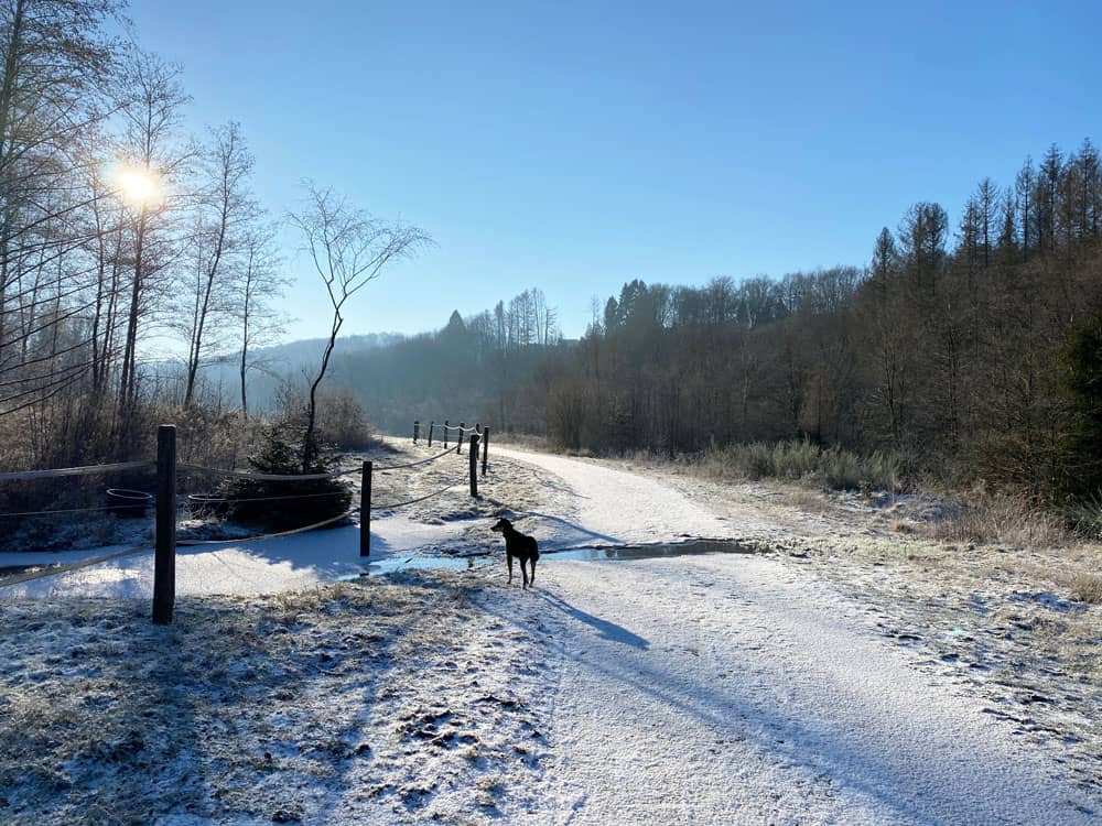 Winterwanderung im Freudenthal - Overath - Walk and Wonder