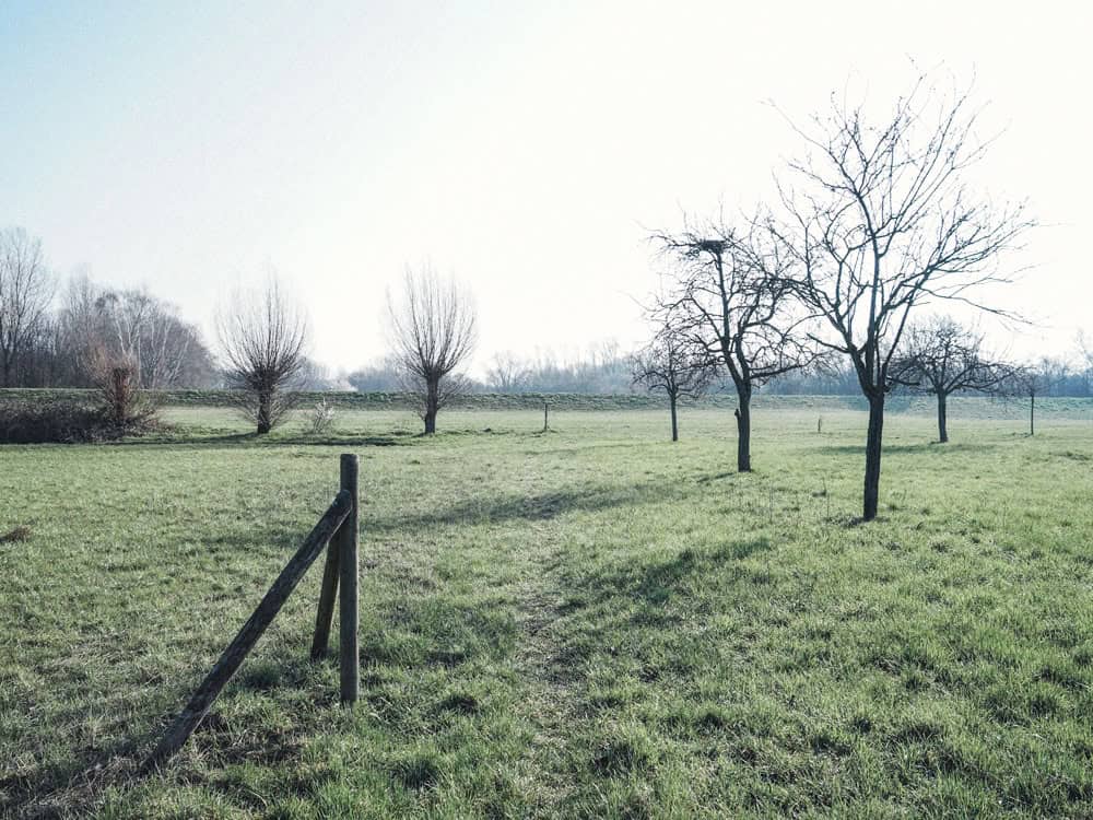 Flittarder Rheinaue - Walk and Wonder
