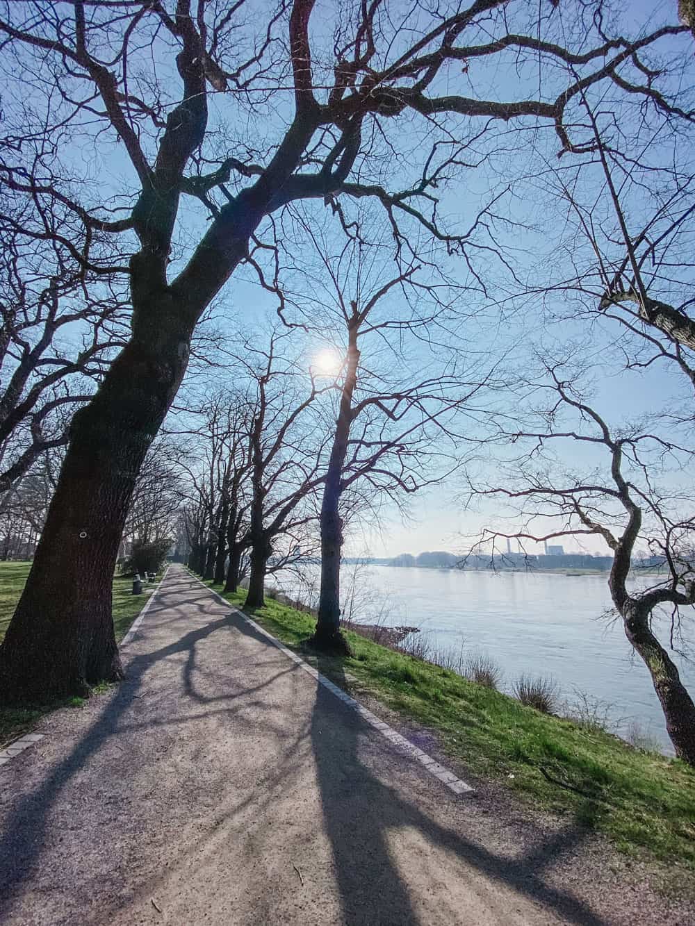 Rheinufer Stammheimer Schlosspark - Walk and Wonder