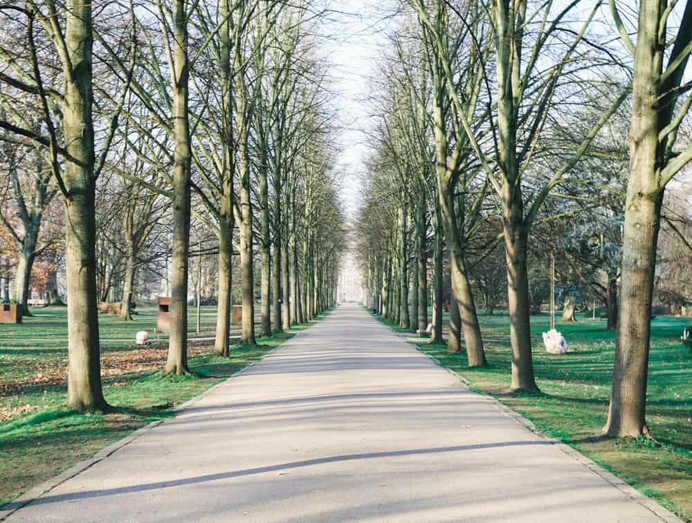 Schlosspark Stammheim - Allee zum Rhein hin - Walk and Wonder