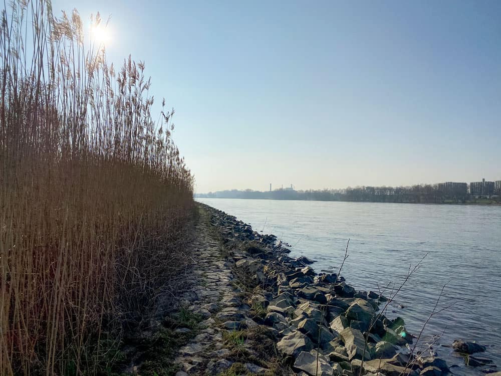 Rheinspaziergang Stammheim - Walk & Wonder
