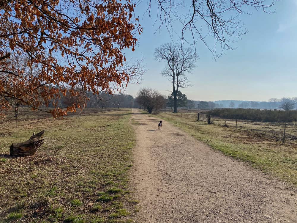 Wahner Heide Wandertipp - Walk & Wonder