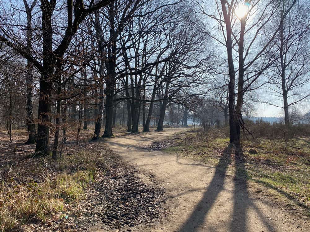 Geisterbusch Tour durch die Wahner Heide - Walk & Wonder