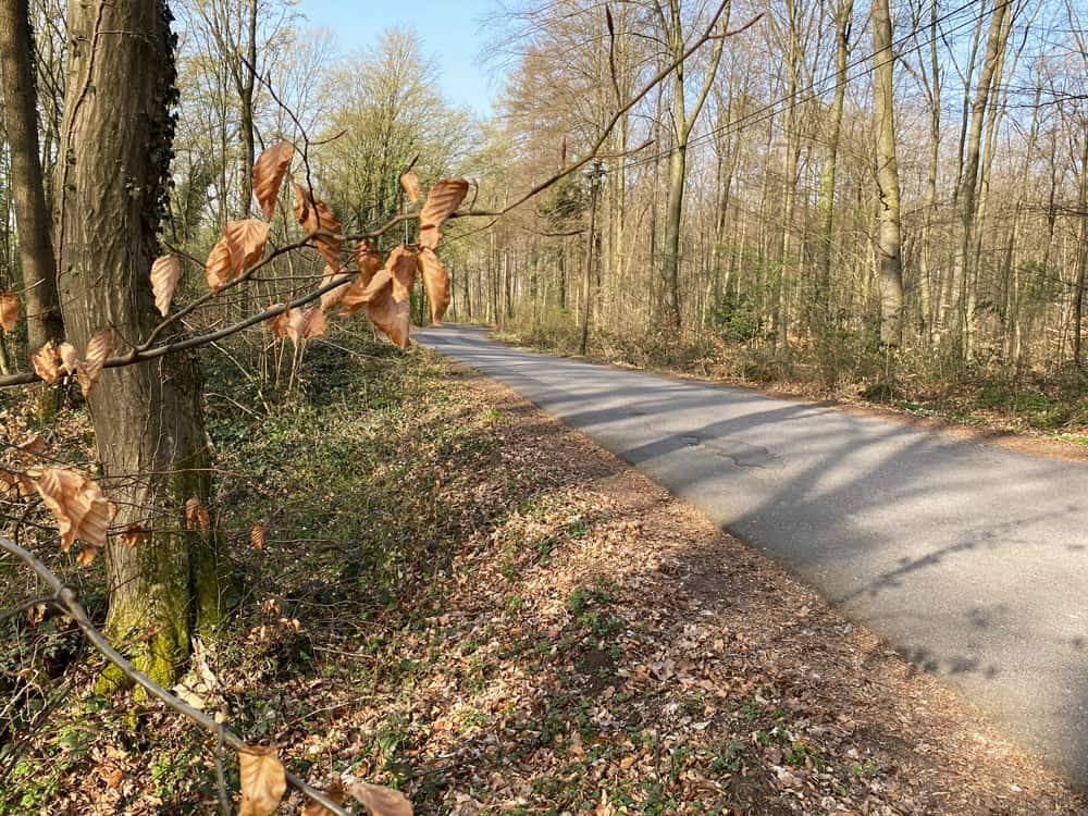 Alter Trassweg Saaler Mühle - Walk and Wonder
