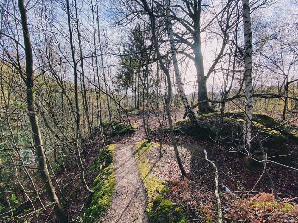 Grube Cox - Spaziergang - Walk and Wonder