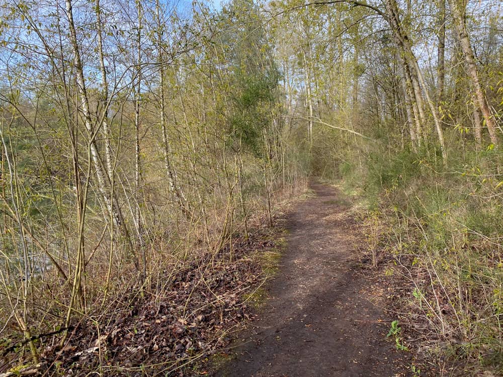 Grube Cox - Spaziergang - Walk and Wonder