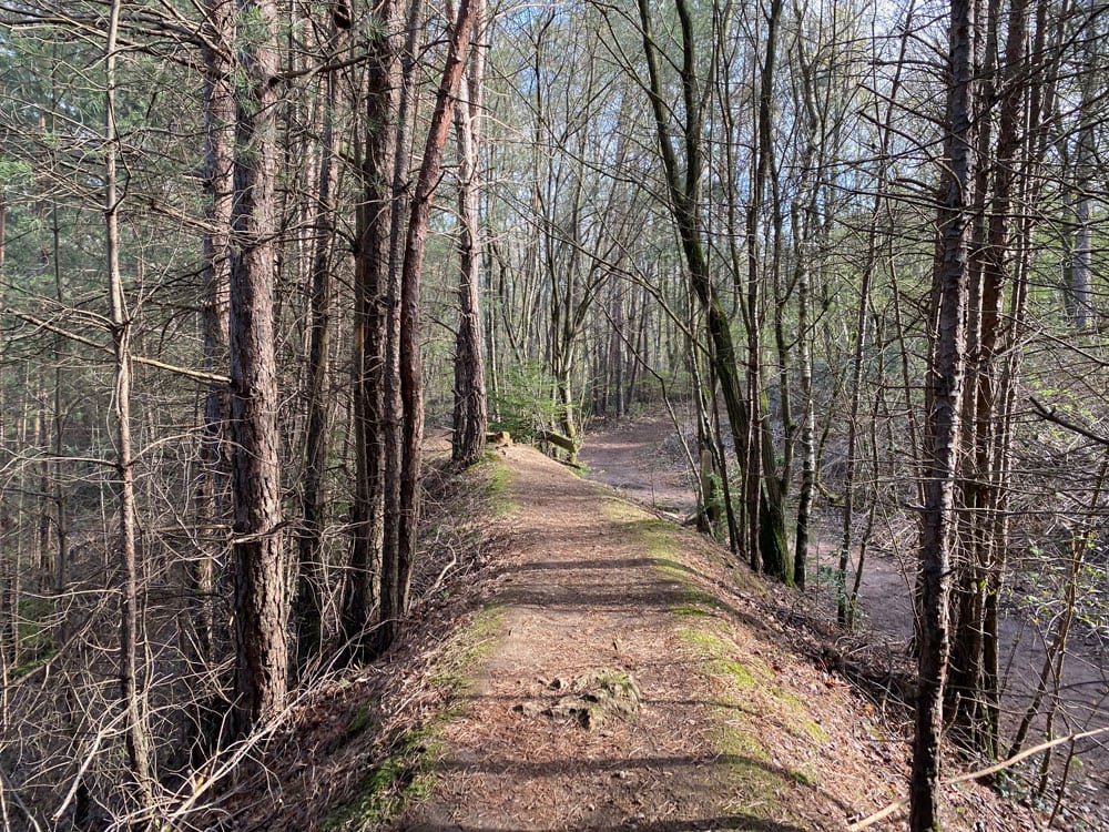 Grube Cox - Spaziergang - Walk and Wonder