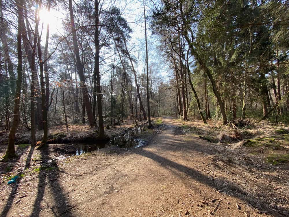 Waldspaziergang Wahner Heide Tipp - Walk and Wonder