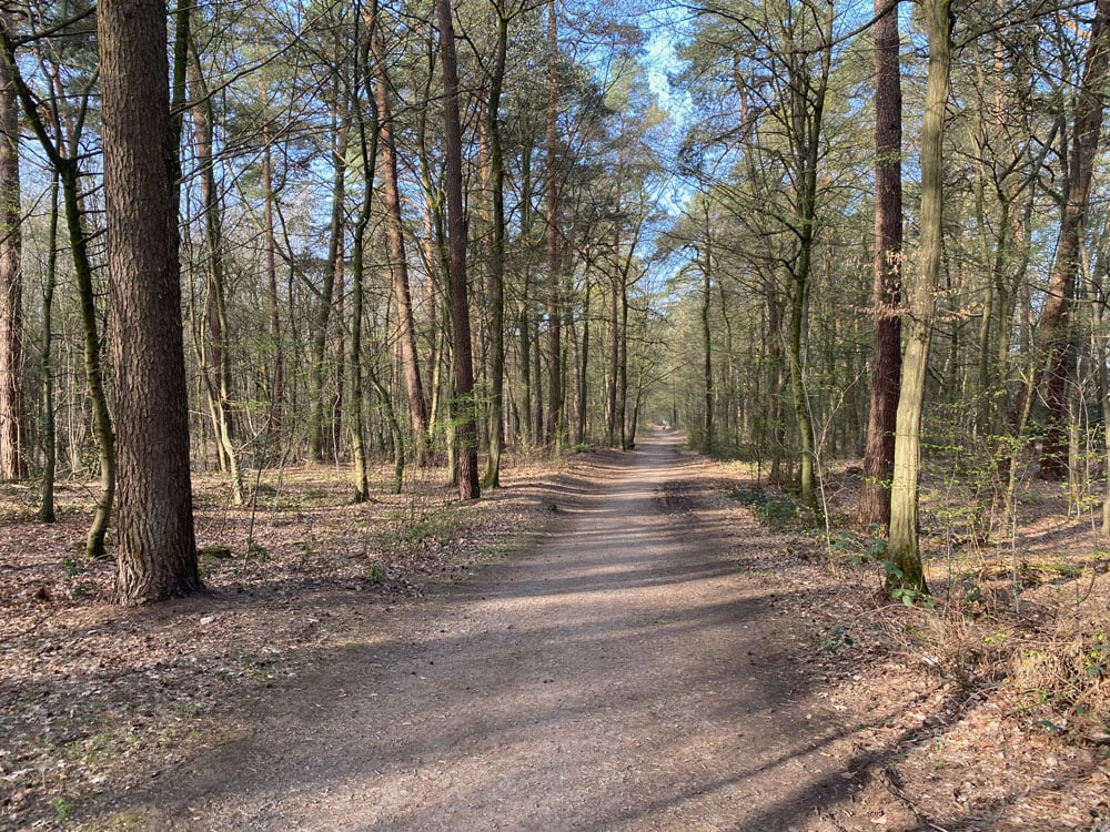 Saaler Mühle Runde - Walk and Wonder