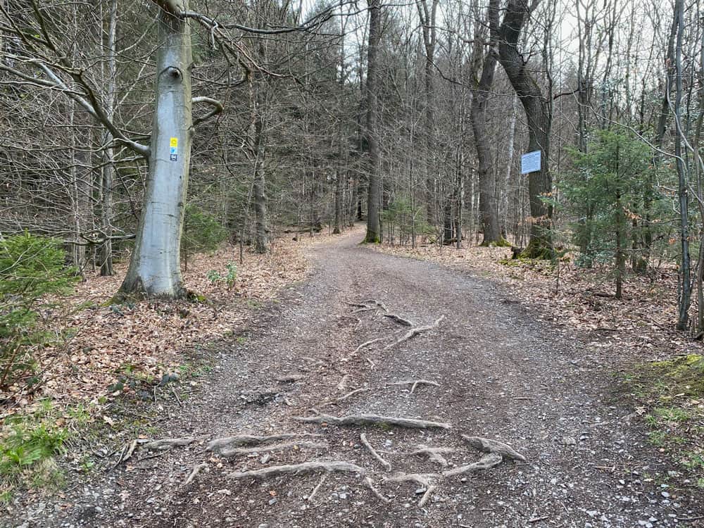 Wermelskirchen - Kleine Dhünntalsperre Wanderung - Walk and Wonder