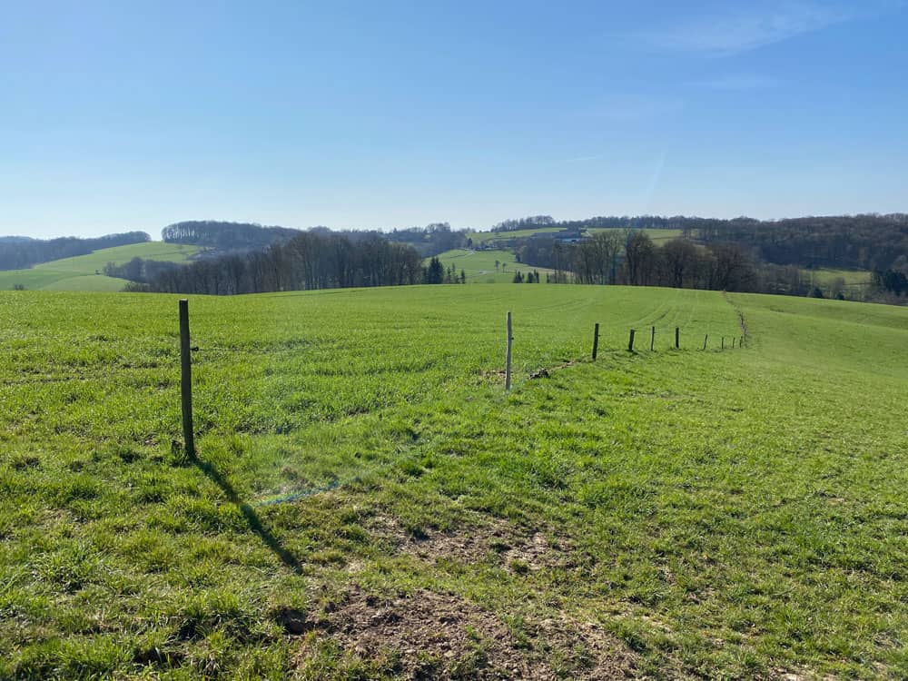 Naafbachtal Wandertipp - Walk and Wonder