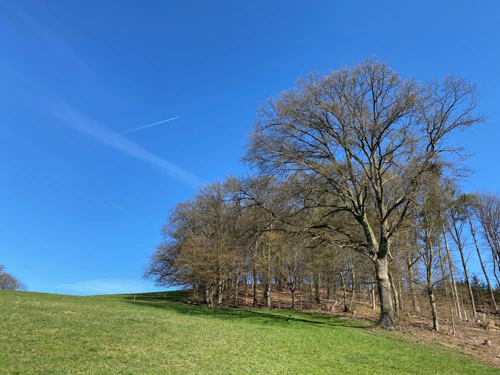 Spaziergang durch das Naafbachtal in Overath - Walk and Wonder