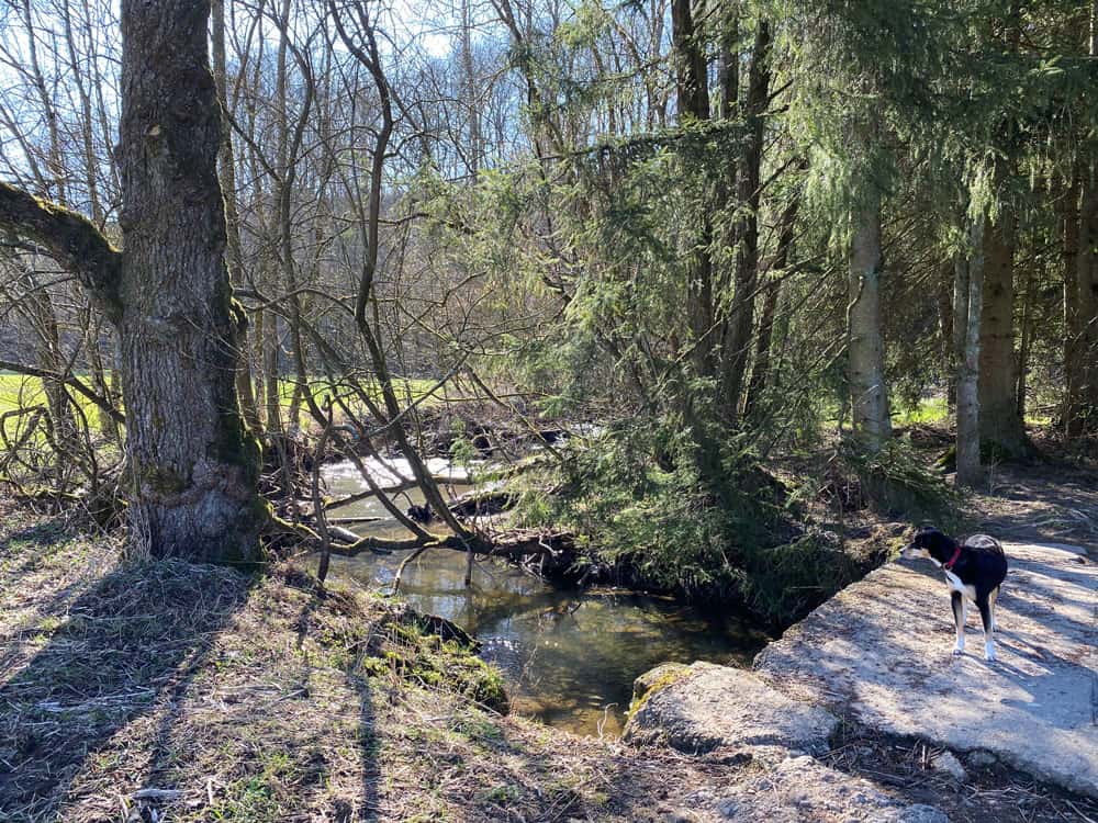 Spaziergang durch das Naafbachtal in Overath - Walk and Wonder