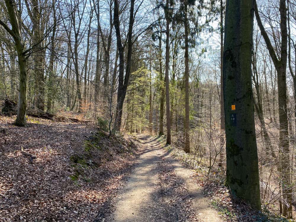 Spaziergang durch das Naafbachtal in Overath - Walk and Wonder