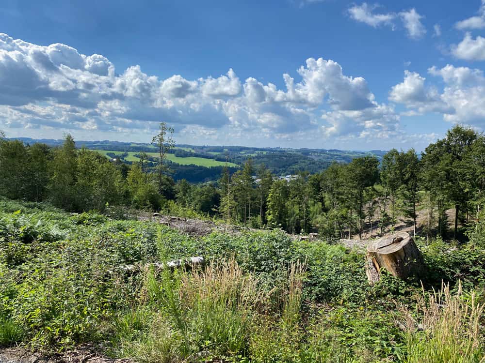Wanderung in Engelskirchen - Walk and Wonder