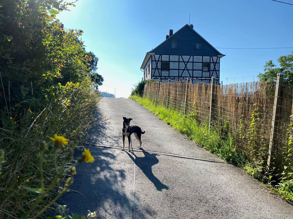 Wanderung in Engelskirchen - Walk and Wonder