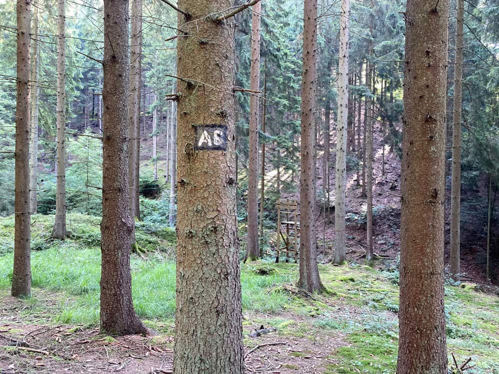 Wanderung in Engelskirchen - Walk and Wonder