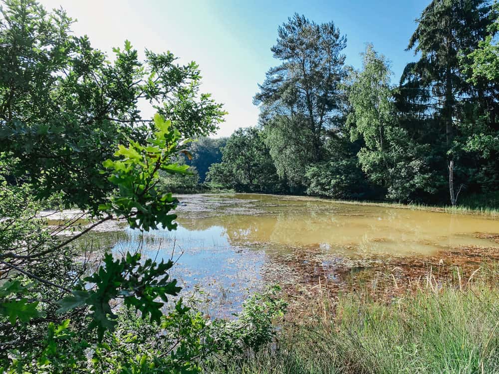 Wanderung in Engelskirchen - Walk and Wonder