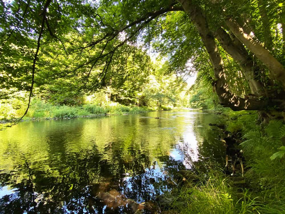 Wanderung in Engelskirchen - Walk and Wonder
