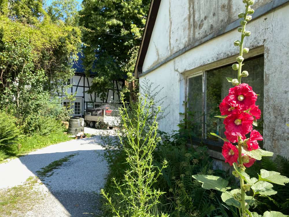 Wanderung in Engelskirchen - Walk and Wonder