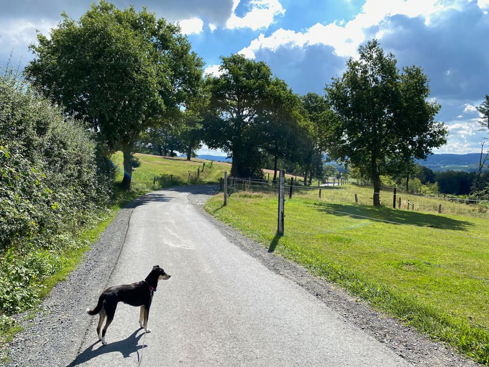 Wanderung in Engelskirchen - Walk and Wonder