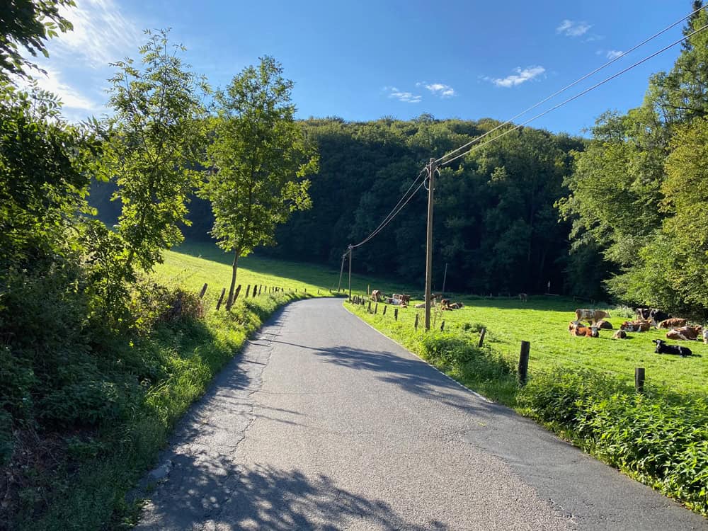 Igeler Hof Wanderung - Walk and Wonder
