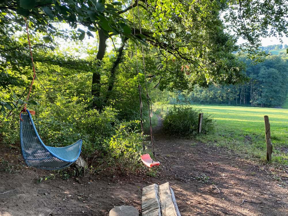 Wanderung um Dombach und Igeler Hof - Walk and Wonder