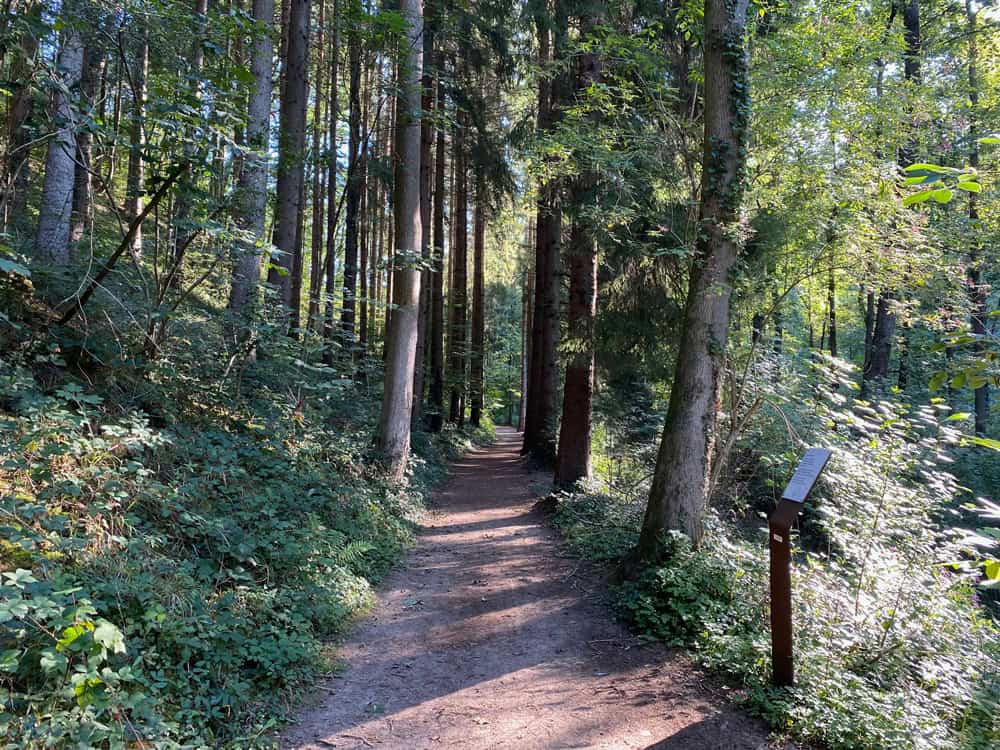 Alte Dombach Wanderweg - Walk and Wonder