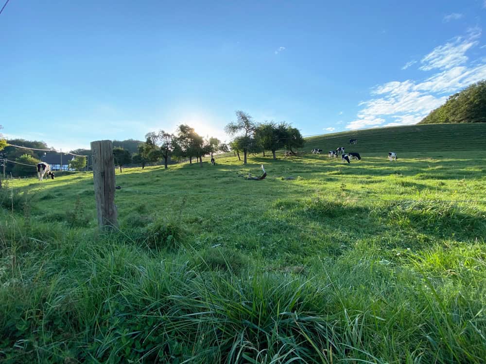 Wanderung um Dombach und Igeler Hof - Walk and Wonder