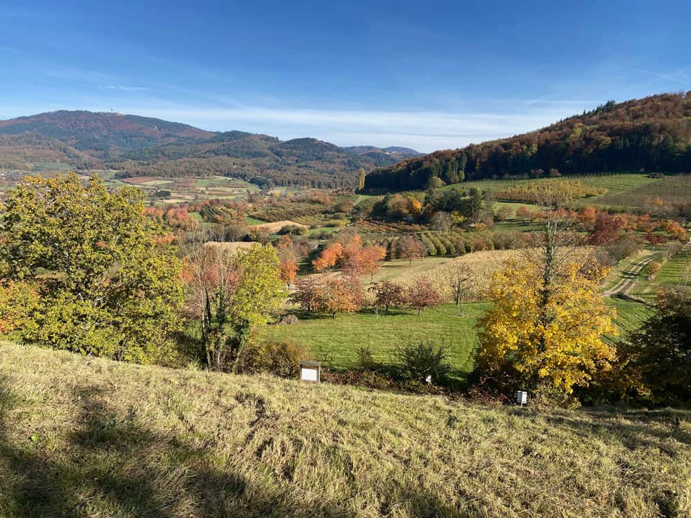 Niedereggenen im Südschwarzwald Wanderung - Walk and Wonder